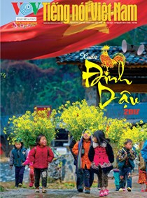 Điểm báo Xuân Đinh Dậu 2017 - ảnh 1